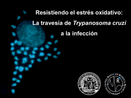 Diapositiva 1 - Instituto de Higiene