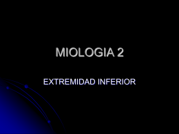 MIOLOGIA 2