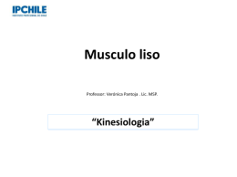 Musculo liso