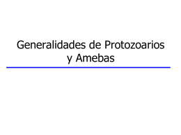 Protozoarios Generalidades - Instituto de Higiene