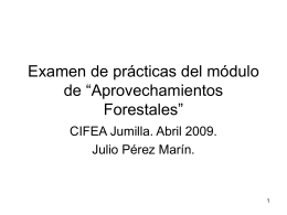 Examen aprovechamientos forestales