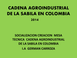 CADENA AGROINDUSTRIAL DE LA SABILA EN COLOMBIA …