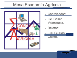 Mesa Economia Agricola
