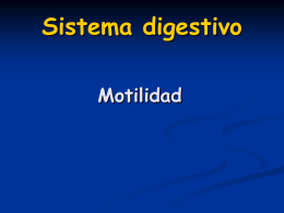 Sistema digestivo - Depto.Cs.Biologicas