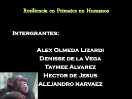 Investigaciones sobre resiliencia en primates no humanos