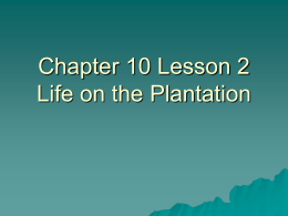 Chapter 10 Lesson 2 Life on the Plantation