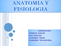 ANATOMIA Y FISIOLOGIA - Salud Ocupacional SENA 2013
