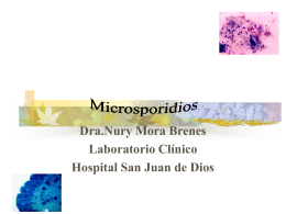 Microsporidios