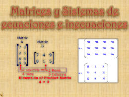 Matrices y Sistemas de ecuaciones e inecuaciones