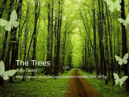 The Trees - Wikispaces