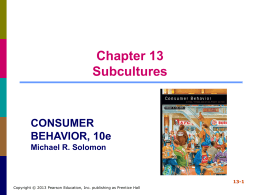 Chapter 13 Subcultures