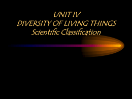 Scientific Classification - Father Michael McGivney
