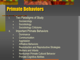Chapter 6 Primate Behavior - California State University