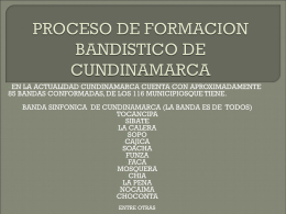 PROCESO DE FORMACION BANDISTICO DE …