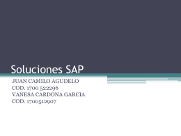 Soluciones SAP - auditoriauc20102mivi
