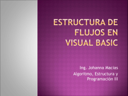 Estructura de Flujos en Visual Basic