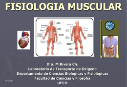 FISIOLOGIA MUSCULAR - Fisiologia 2013 | Las …