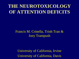 THE NEUROTOXICOLOGY OF ATTENTION DEFICITS