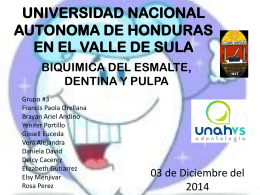 UNIVERSIDAD NACIONAL AUTONOMA DE HONDURAS …
