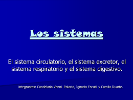 Los sistemas