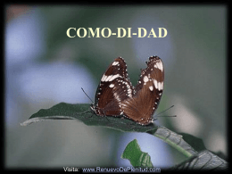 COMO-DI-DAD