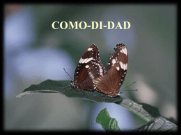 COMO-DI-DAD