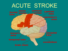 Acute Stroke Cardiac Internship, 2006 Sarasota Memorial