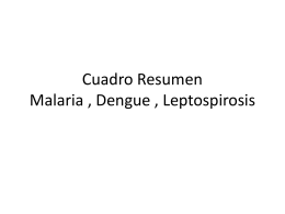 Cuadro Resumen malaria , dengue , leptospirosis