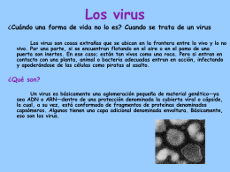 Los virus - DEPARTAMENTO DE CIENCIAS CEM 2009