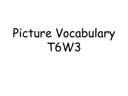 Picture Vocabulary T6W3