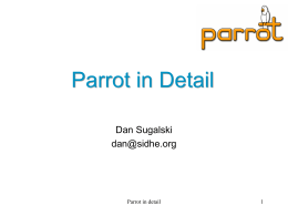 Parrot in Detail