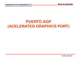 PUERTO AGP (ACELERATED GRAPHICS PORT)