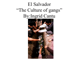 El Salvador “The Culture of Gangs”