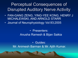 Perceptual Consequences of Disrupted Auditory Nerve …