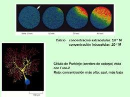Diapositiva 1 - UPCH - Universidad Peruana Cayetano …