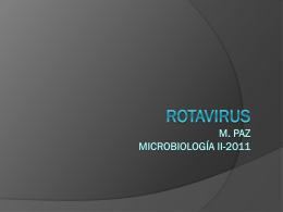 Adenovirus y rotavirus