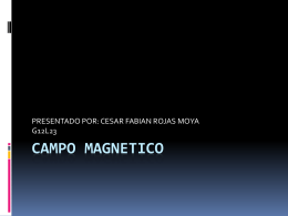 CAMPO MAGNETICO - fisica1000017