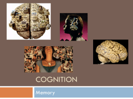 Cognition - Collin College