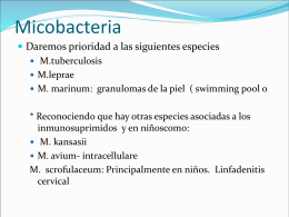 Micobacteria