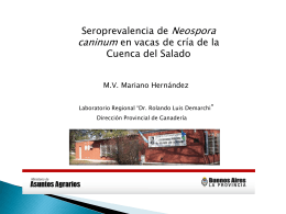 Diapositiva 1 - Buenos Aires