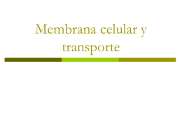 Membrana celular y trasporte - Noticias | SED | Colegio