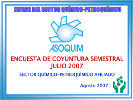 Encuesta de Coyuntura- Julio 2007