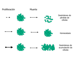 cell cycle - UPCH - Universidad Peruana Cayetano Heredia