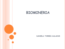 biomineria