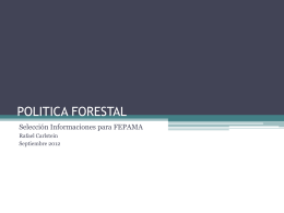 Rentabilidad de Inversiones Forestales en Paraguay