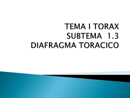 TEMA I TORAX SUBTEMA 1.3 DIAFRAGMA TORACICO