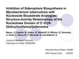 Inhibition of Siderophore Biosynthesis in Mycobacterium