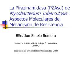 La Pirazinamidasa (PZAase) de Mycobacterium …