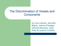 The Discrimination of Vowels and Consonants