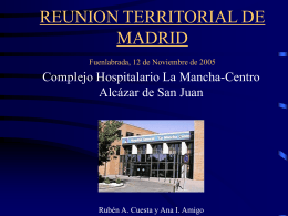 SEMINARIO REGIONAL SEAP Madrid, 12 de Noviembre de …